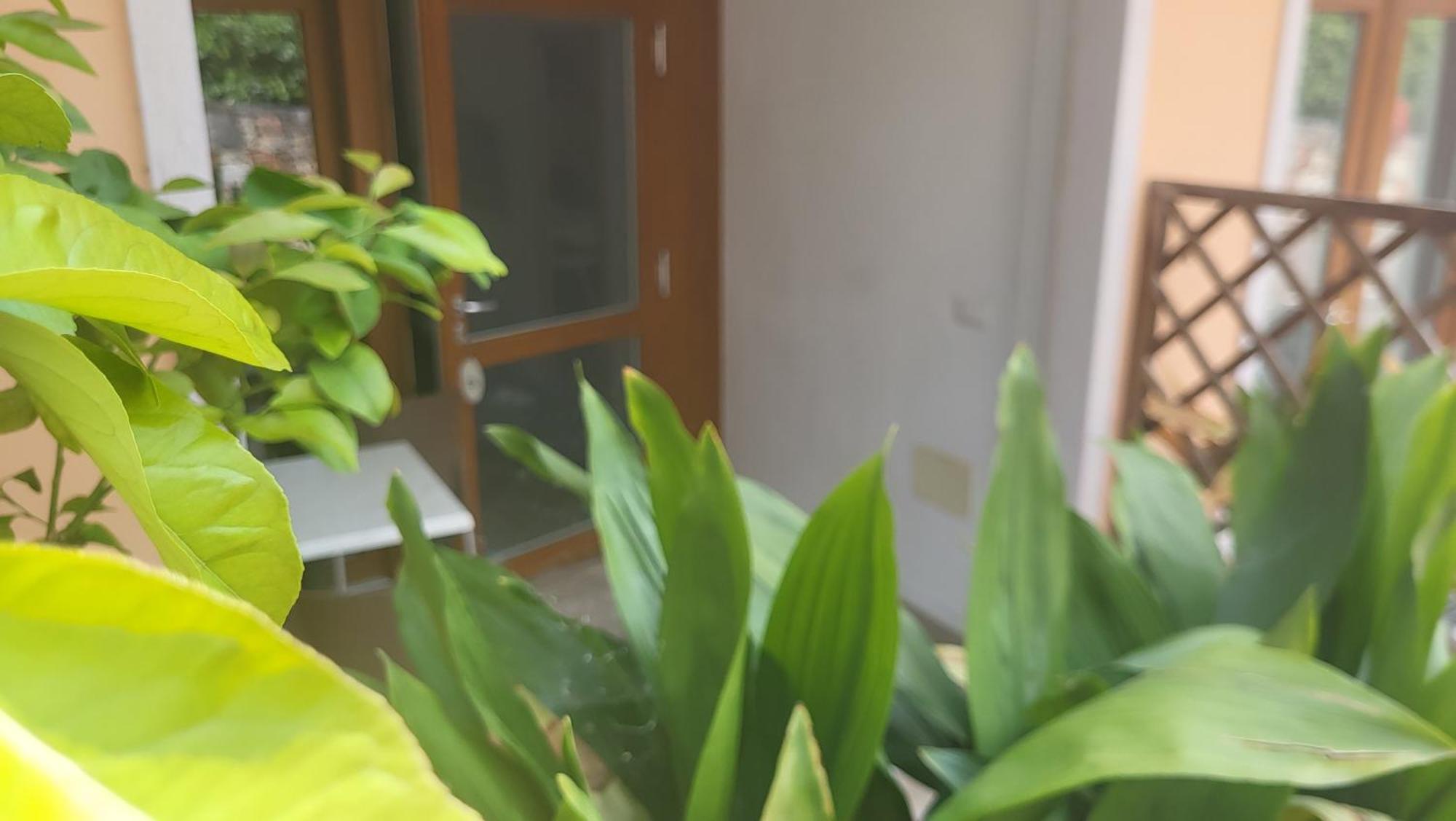 Residence Villa Margherita 브렌조네 술 가르다 외부 사진