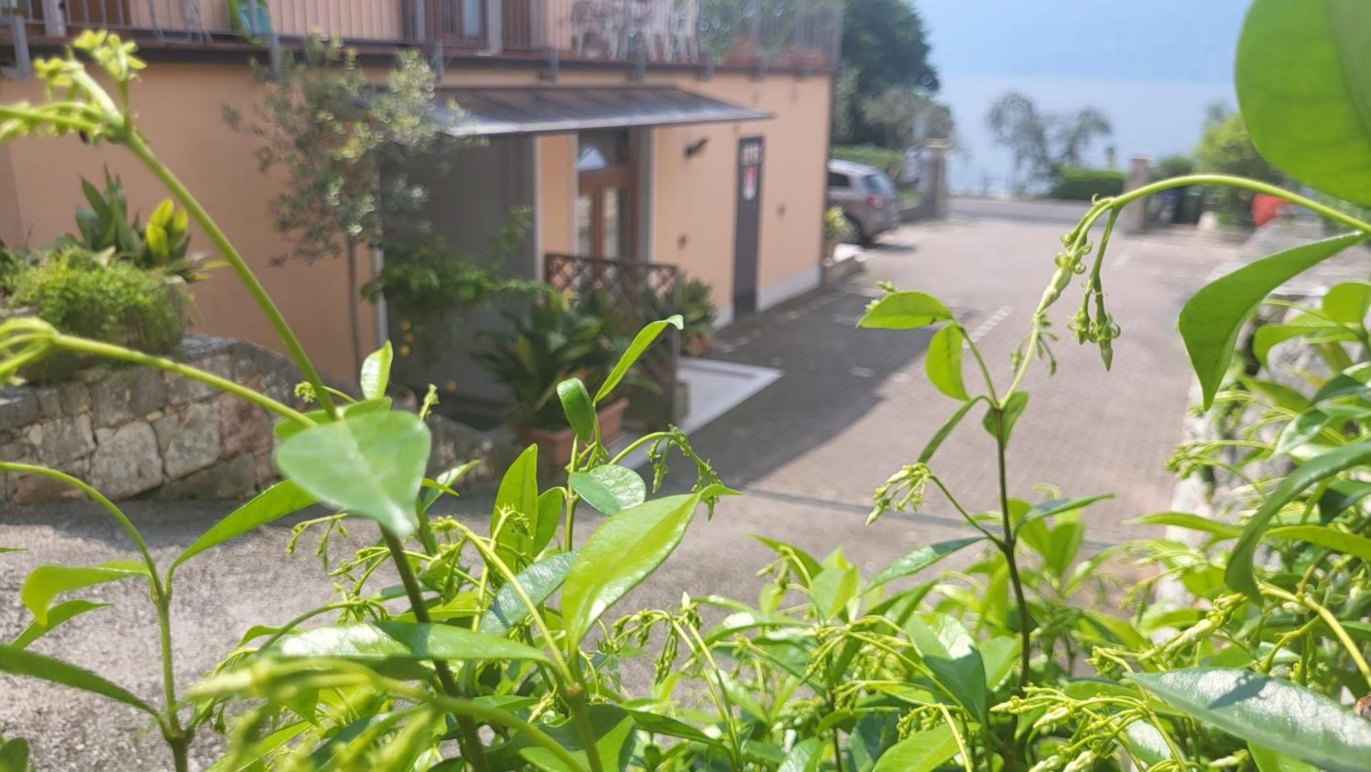 Residence Villa Margherita 브렌조네 술 가르다 외부 사진